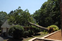 photo thumbnail