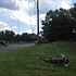 photo thumbnail