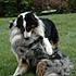 photo thumbnail