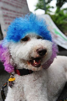 Photo detail