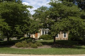 Photo detail