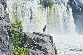 Photo detail