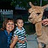 photo thumbnail
