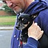 photo thumbnail