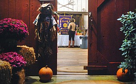 Photo detail