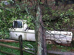 Photo detail