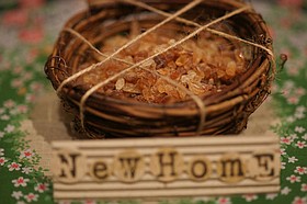 Photo detail