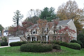 Photo detail