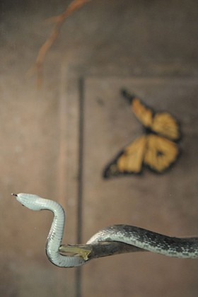 Photo detail