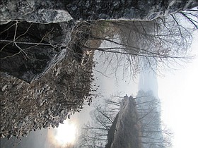 Photo detail