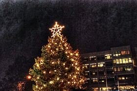 Photo detail