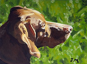 Photo detail