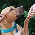 photo thumbnail