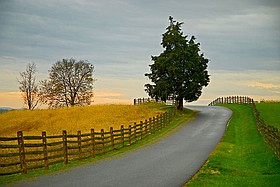 Photo detail