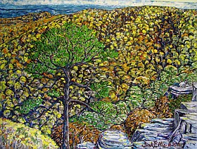 Photo detail