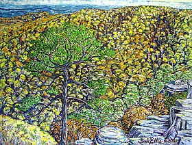 Photo detail