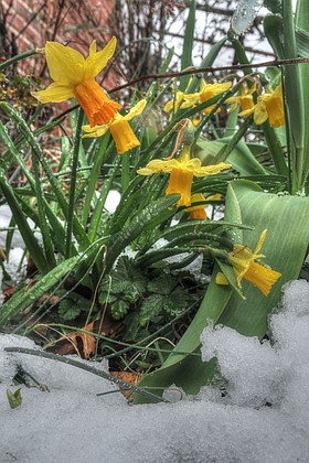 Photo detail