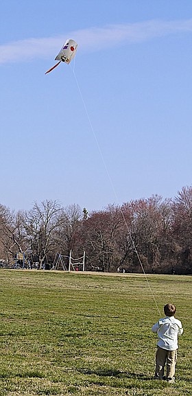 Photo detail