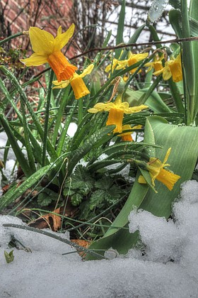 Photo detail