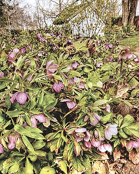 Photo detail
