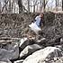 photo thumbnail