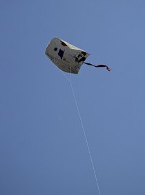 photo thumbnail