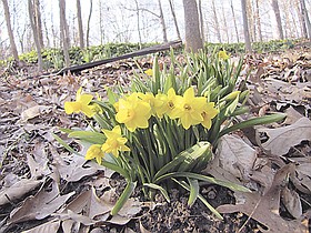 Photo detail