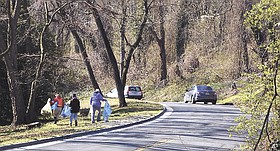 Photo detail