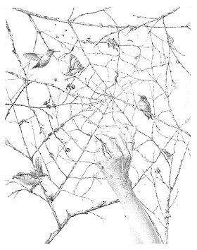 Photo detail