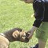 photo thumbnail