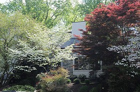 Photo detail
