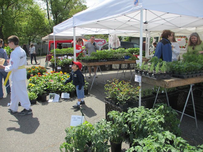 The farmers market featured an abundance of colorful flowers, herb and berry plants and early-spring produce. Kale appeared to be “big” this year.