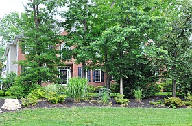 Photo detail