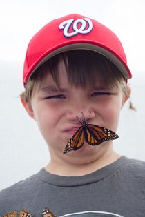 photo thumbnail