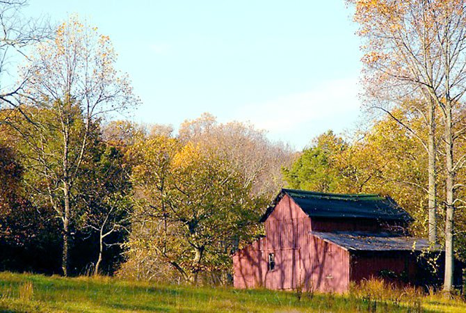 Photo detail