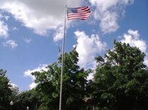 photo thumbnail