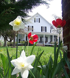 Photo detail