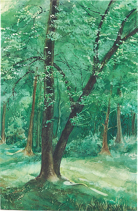Photo detail