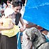 photo thumbnail
