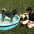 photo thumbnail