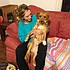 photo thumbnail