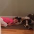 photo thumbnail
