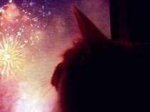 photo thumbnail