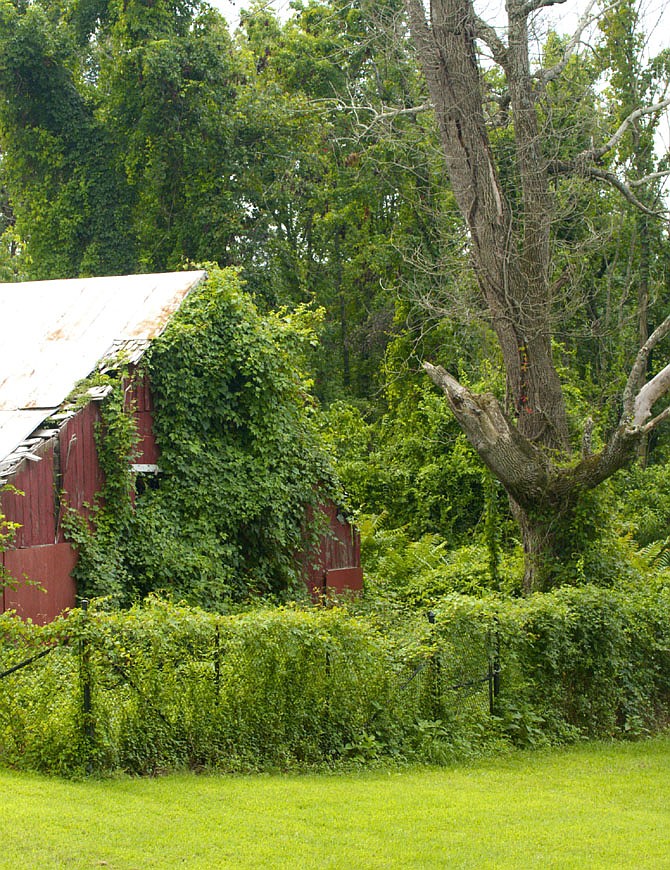 Photo detail