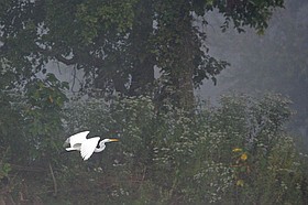 Photo detail