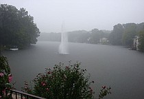 photo thumbnail