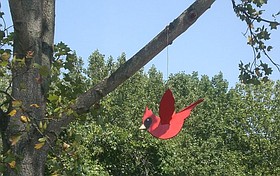Photo detail