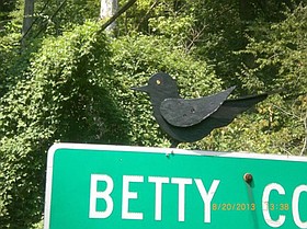 Photo detail