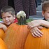 photo thumbnail