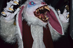 Photo detail